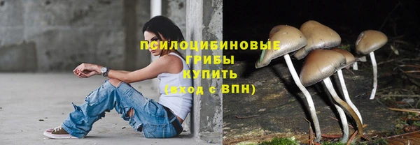 МДПВ Михайлов