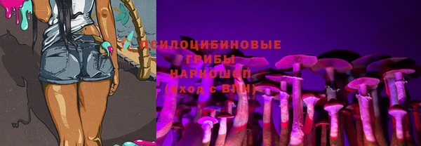 бошки Надым